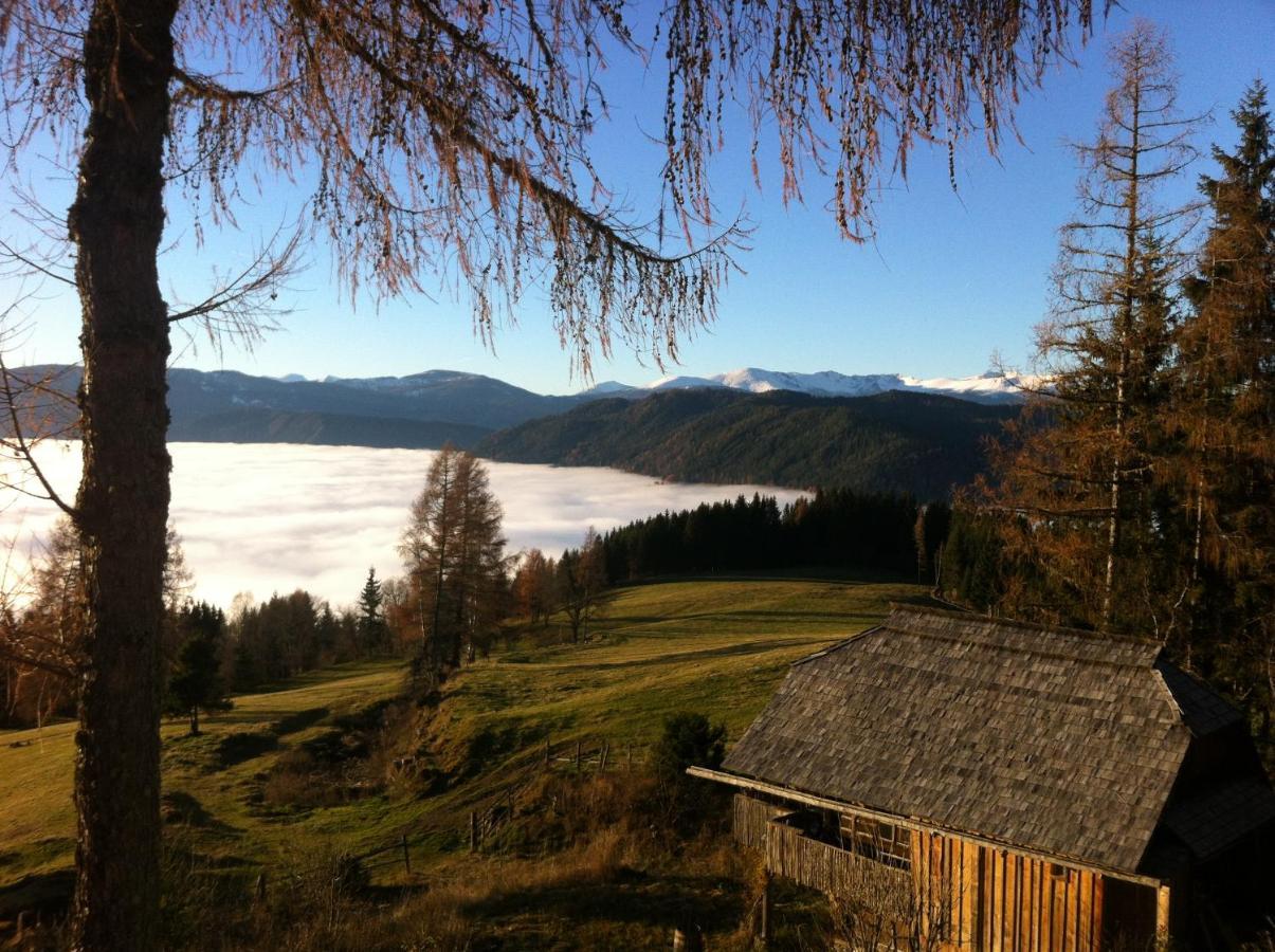 Almhaus Tschamutsch Apartment Niederwinklern ภายนอก รูปภาพ